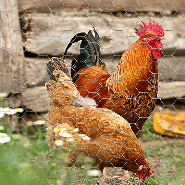 chicken wire mesh, Chicken Fence, Hexagonal mesh, farm fence