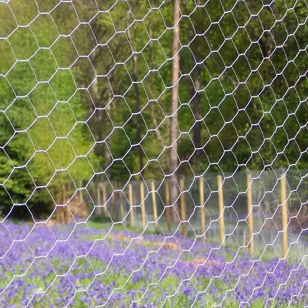 China Wire Mesh and Hexagonal Mesh,Chicken Wire Mesh,chicken wire fence