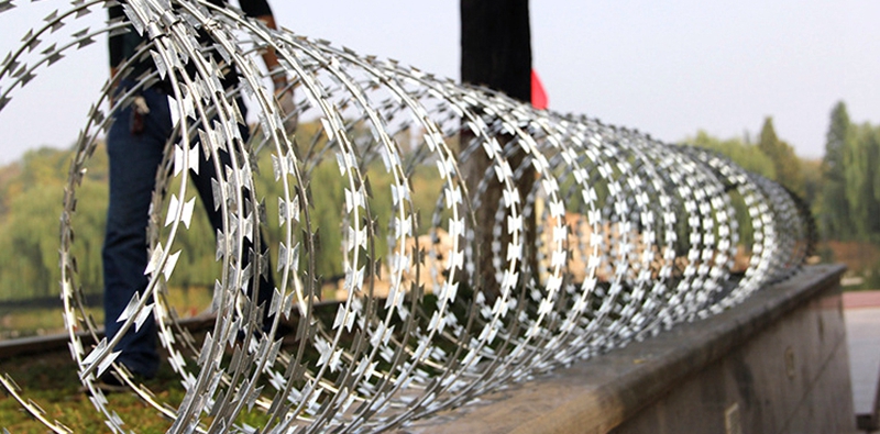 barbed wire fence,
barbed wire steel chain,
galvanized barbed wire,
stainless steel barbed wire
